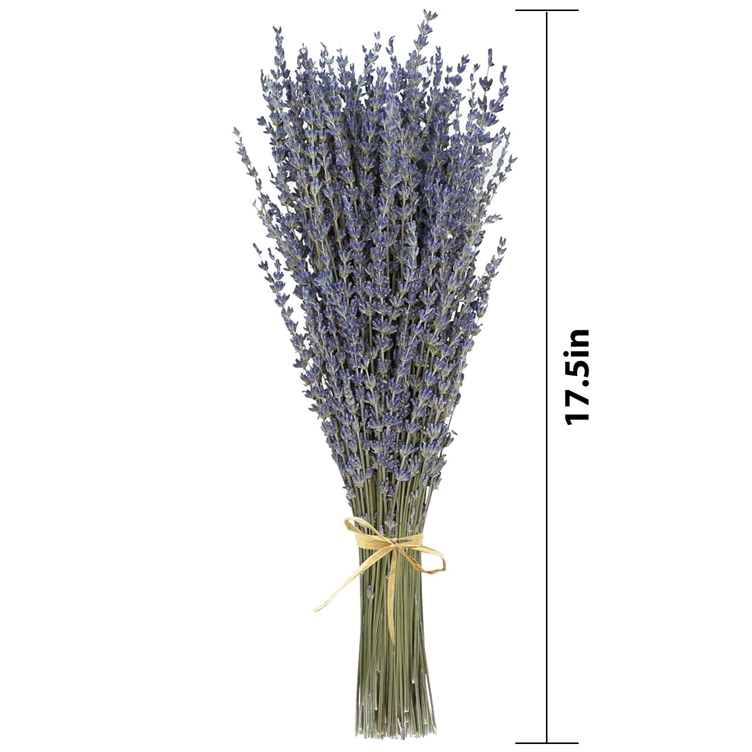 Lavender Bundles - Natural Dried Flowers for Home Decor, 150g (3 Bunches)