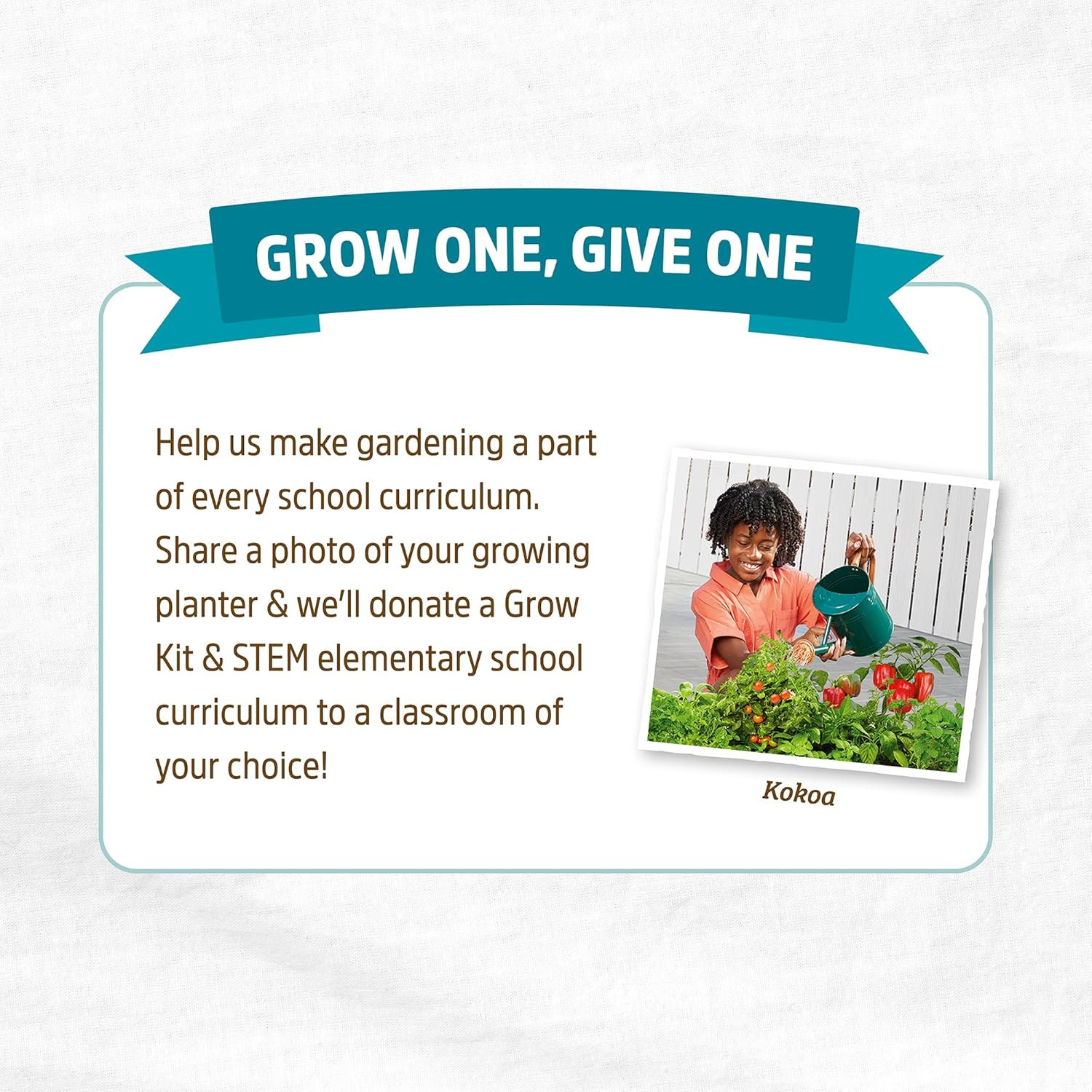 Self-Watering Terracotta Olla Pot (Pack of 3), 700Ml Provides 1 Week of Precisio