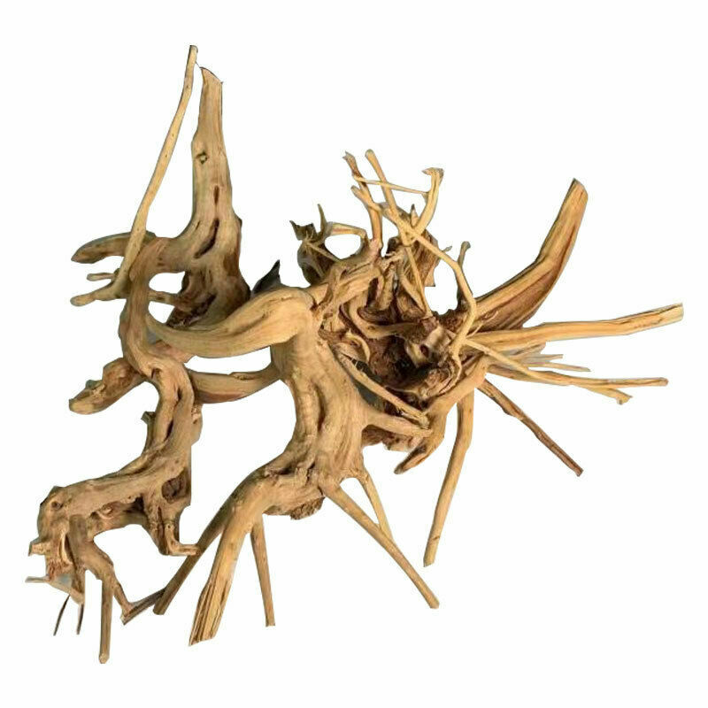 Natural Aquarium Driftwood Assorted Branches Reptile Ornament Fish Tank Decor