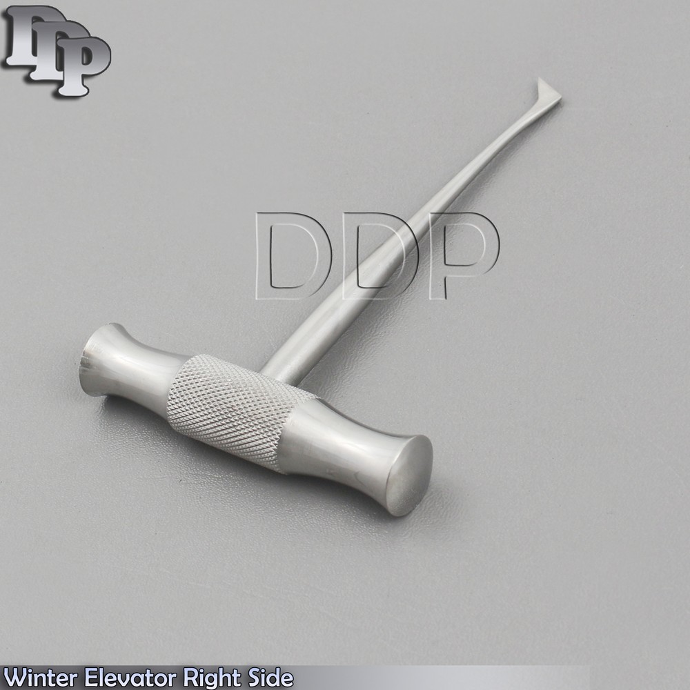 Surgical Winter Elevator Right Side Hard Root Tip Blade 12L Dental Instruments