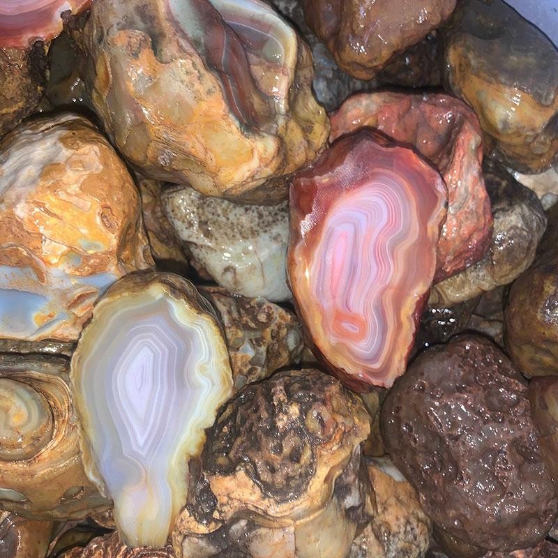 Island Agate #1 Medium (Price per pound)