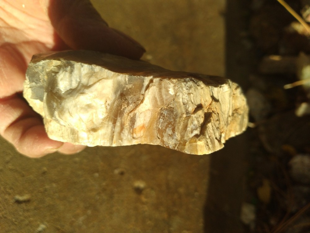 Opalized Wood Slab