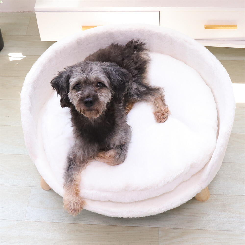 Modern Pet Sofa Low Back Lounging Bed With Removable Cushion Pillow For Dog Cat