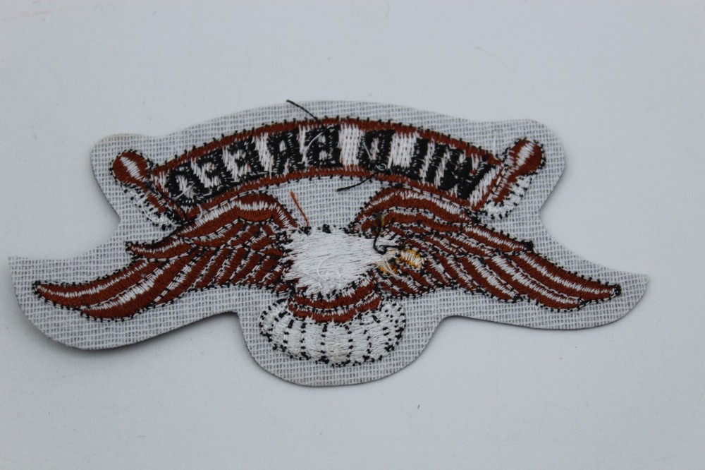 EAGLE WILD BREED Embroidered BIKER VEST PATCH NEW SEW ON PATCH