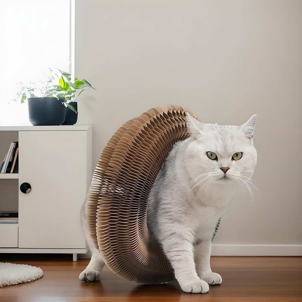 Cat Scratching Board Round Cat Corrugated Circular Interactive Cat Typical