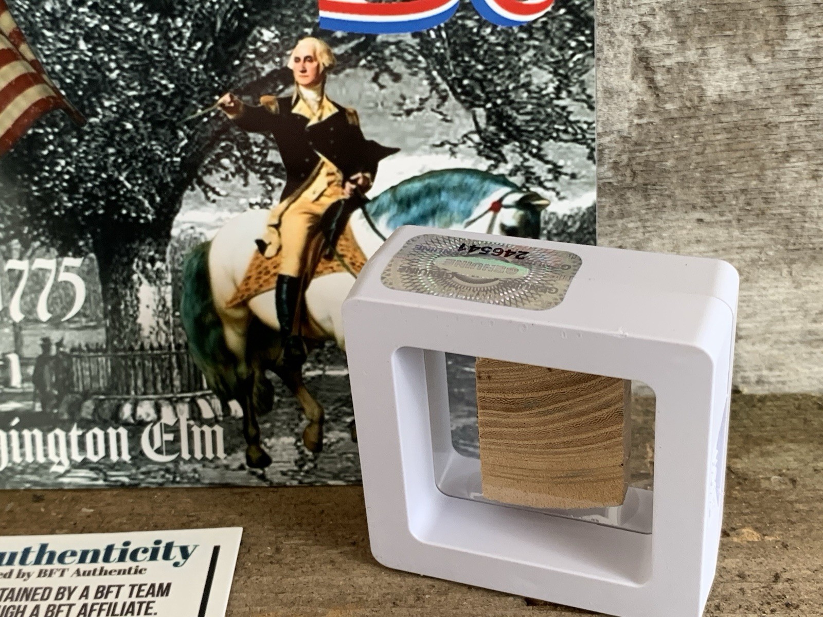 Original Piece of Georgia Washington’s Elm Revolutionary War