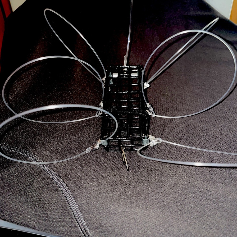 2 PACK - CRAB SNARES - STANDING 6 LOOP tangle snares