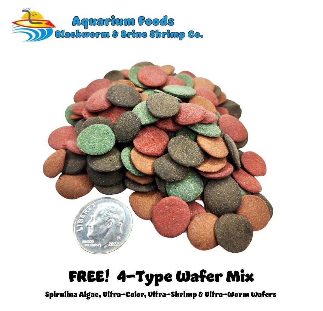 Sinking Wafers Bottom Feeder Fish Food 5-Type Mix. Algae Eater, Catfish & Plecos