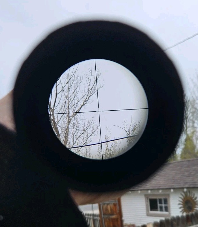 Sig Sauer Whiskey3 3-9X50 Rifle Scope