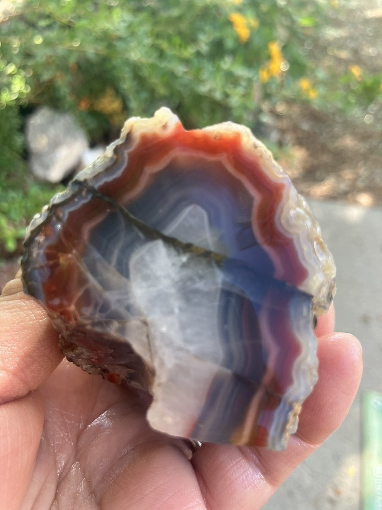Laguna Agate Specimen (Rough)