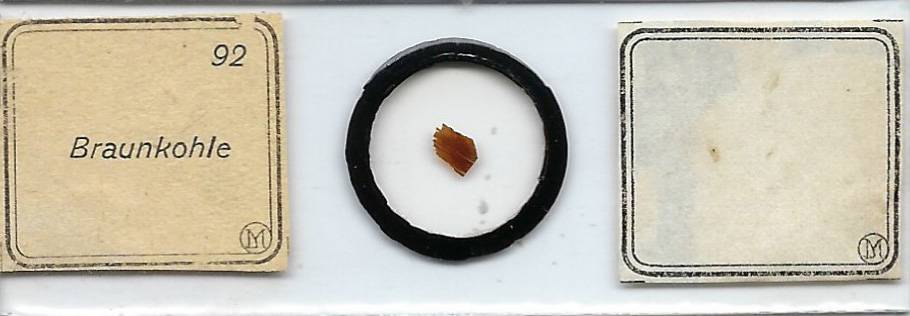Brown Coal Petrographic Microscope Slide by Moeller
