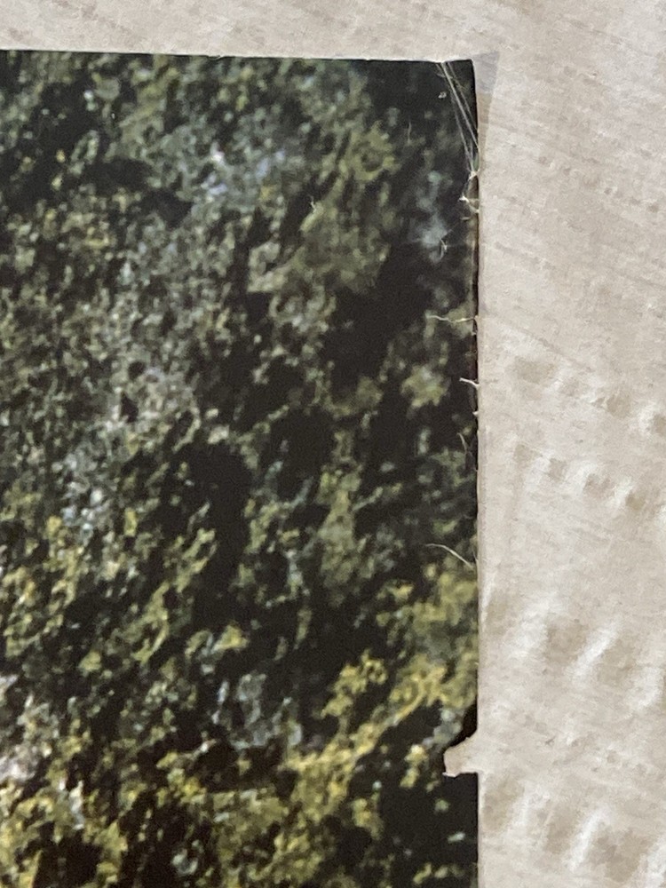 David Lee Roth Large 1988 Promo Poster Skyscraper Van Halen P