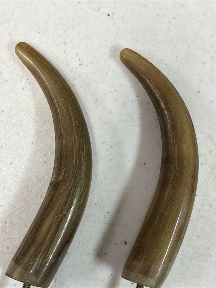 Animal Horn Cap Wall Hooks