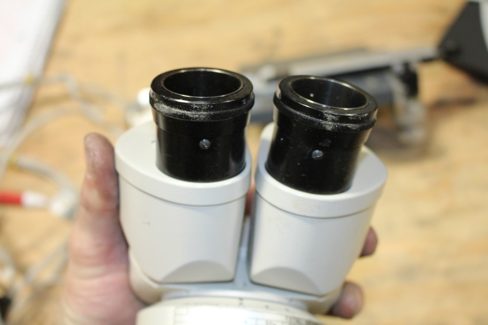 Nikon 210882 Microscope Binocular