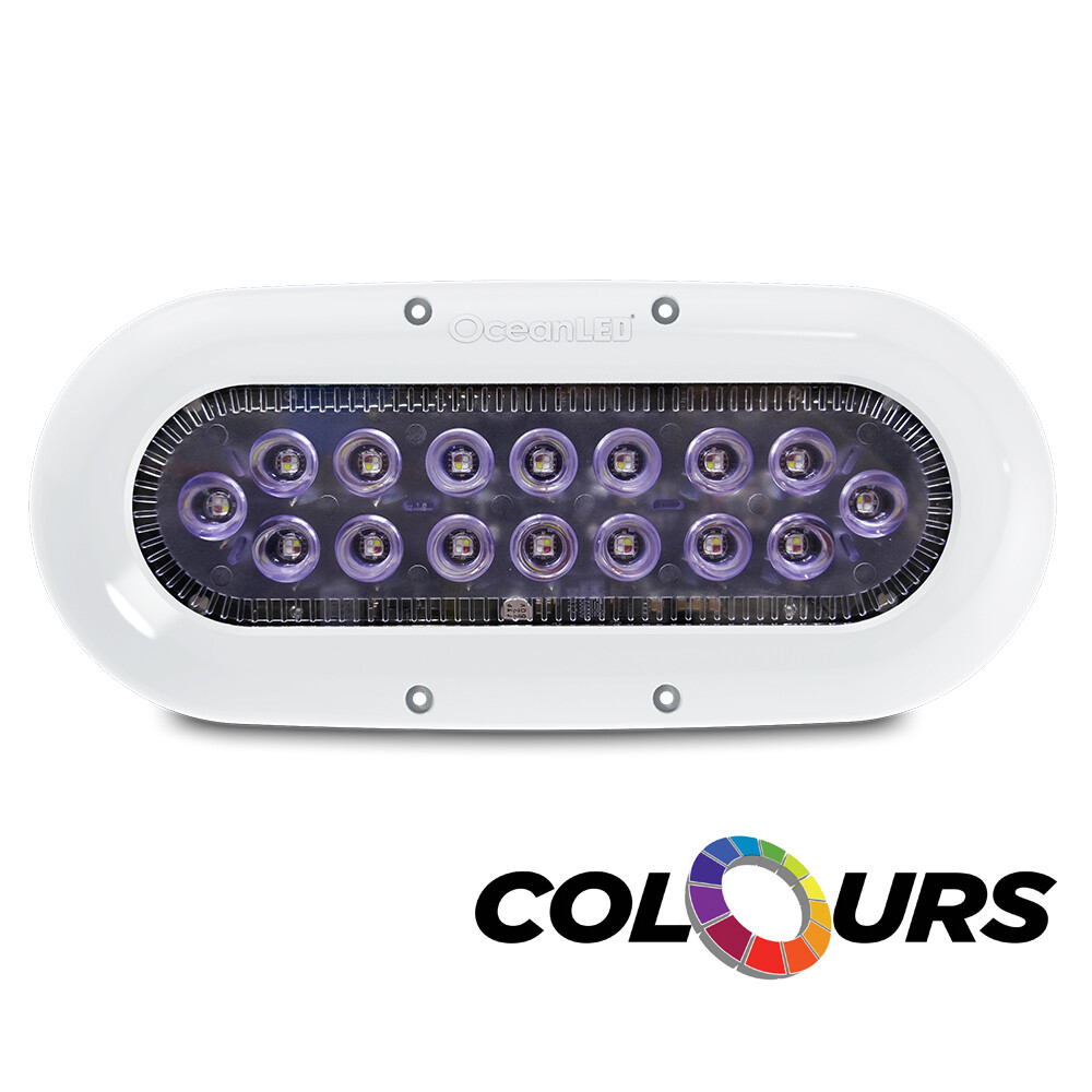 OCEAN LED X-SERIES X16 COLOURS