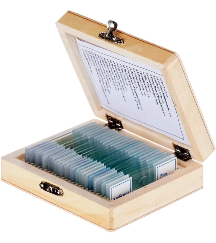 AmScope PS25 Prepared Microscope Slide Set, Basic Biological Science Education
