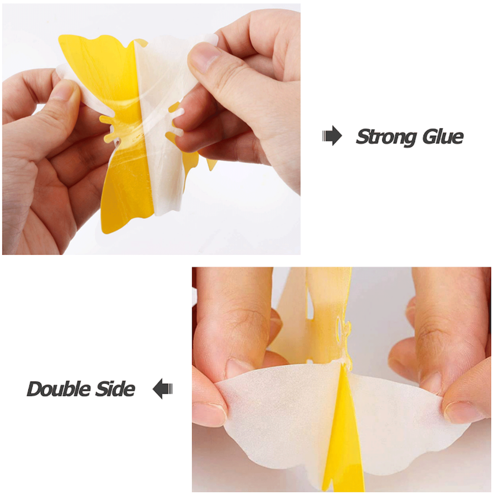 10-100Pcs Sticky Fruit Fly Traps, Fungus Gnat Killer Trap use Indoor Outdoor