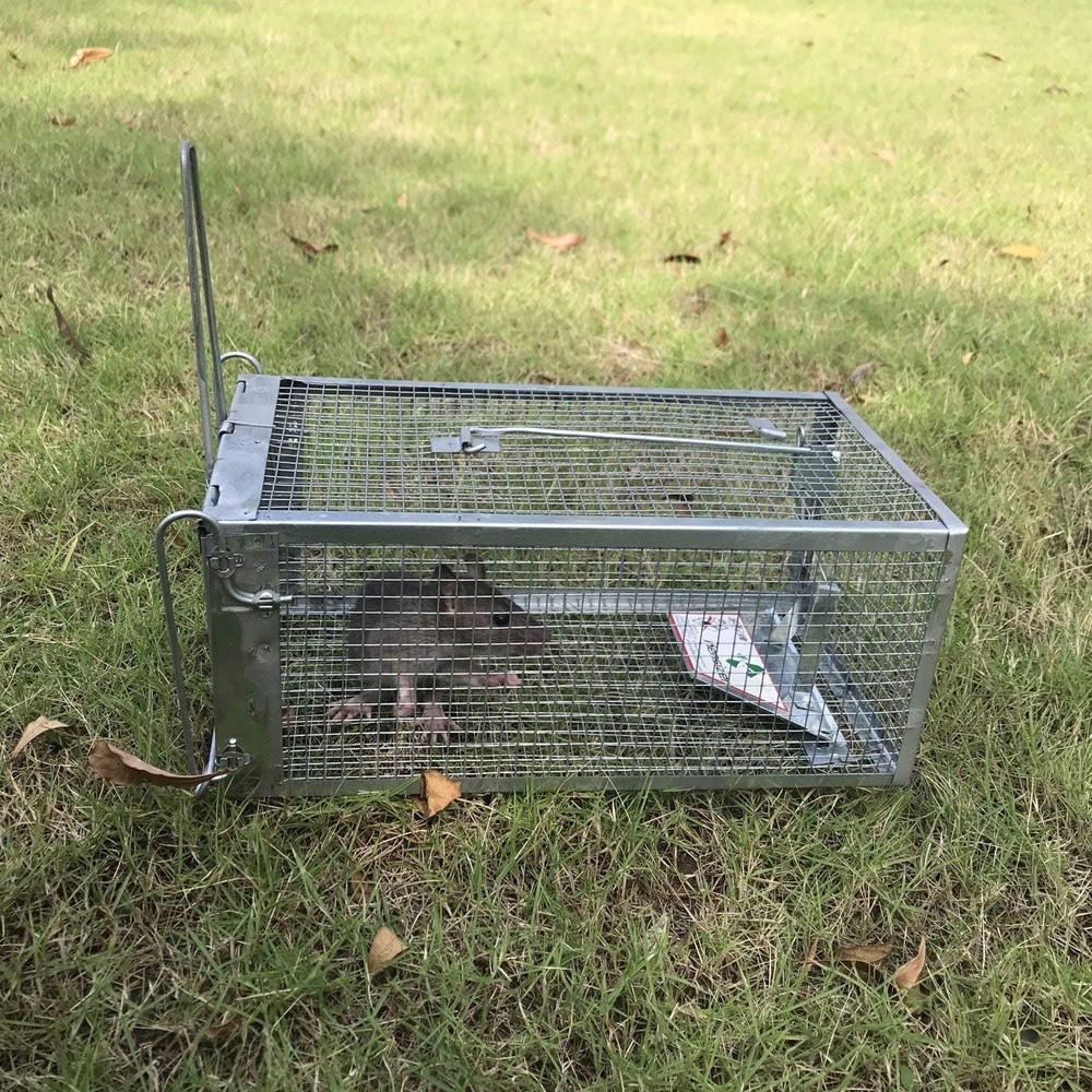 Innovative Patented Rodent Trap - Effortless Catch-and-Release Solution