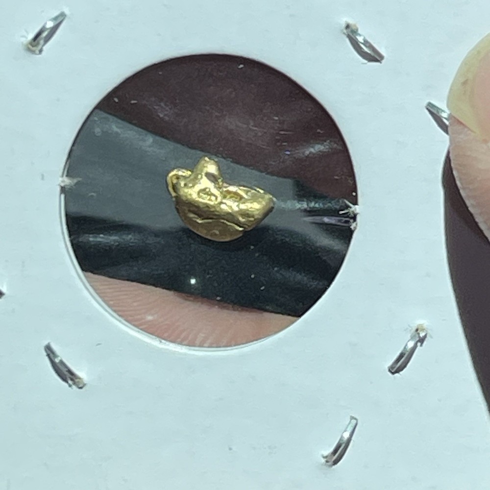 HALF GRAM .5 GOLD NUGGET ALASKAN
