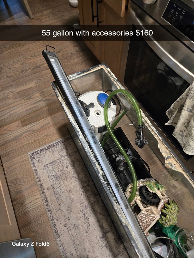 55 gallon fish tank with accessories