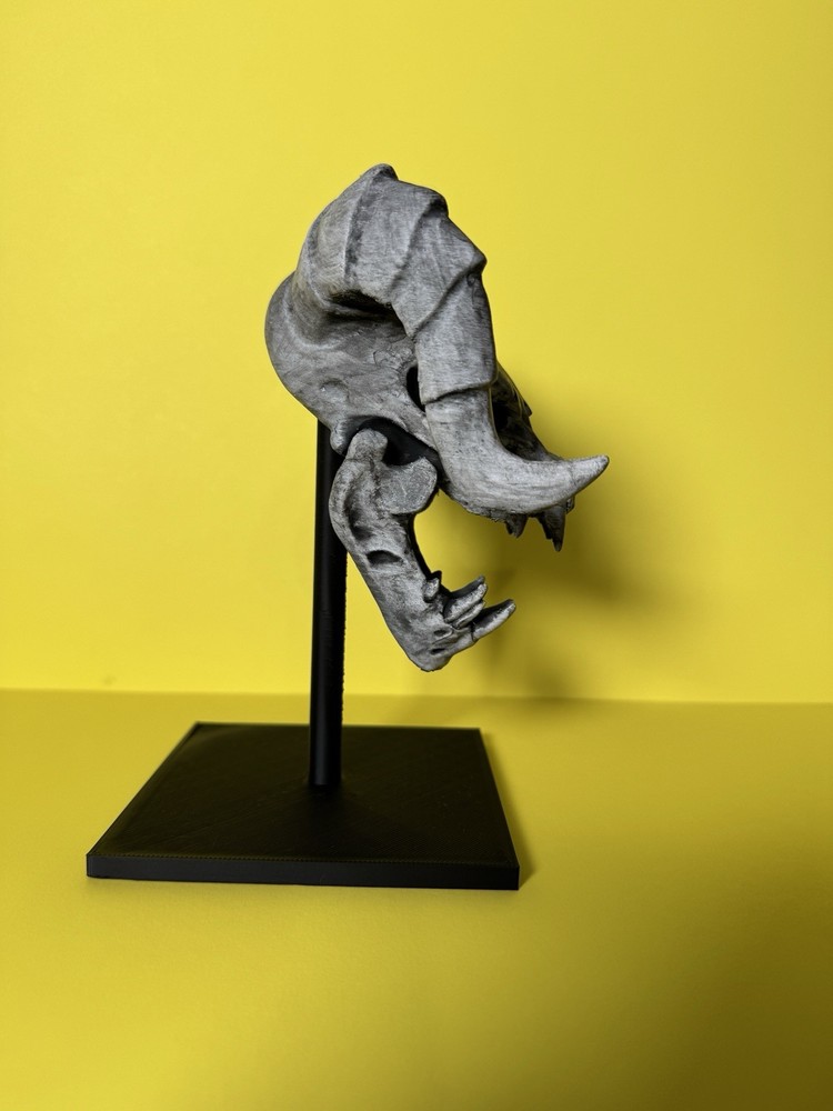 Deathclaw Fallout Designer Skull!