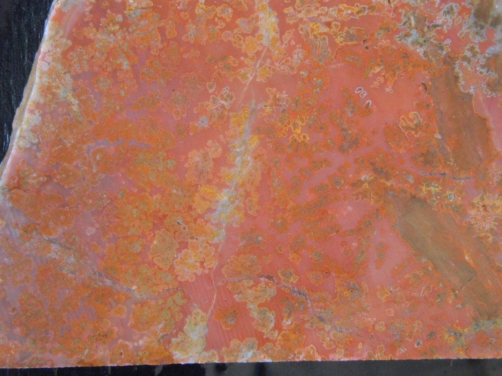 unknown Plume Agate lapidary cabbing slab 4mm thick