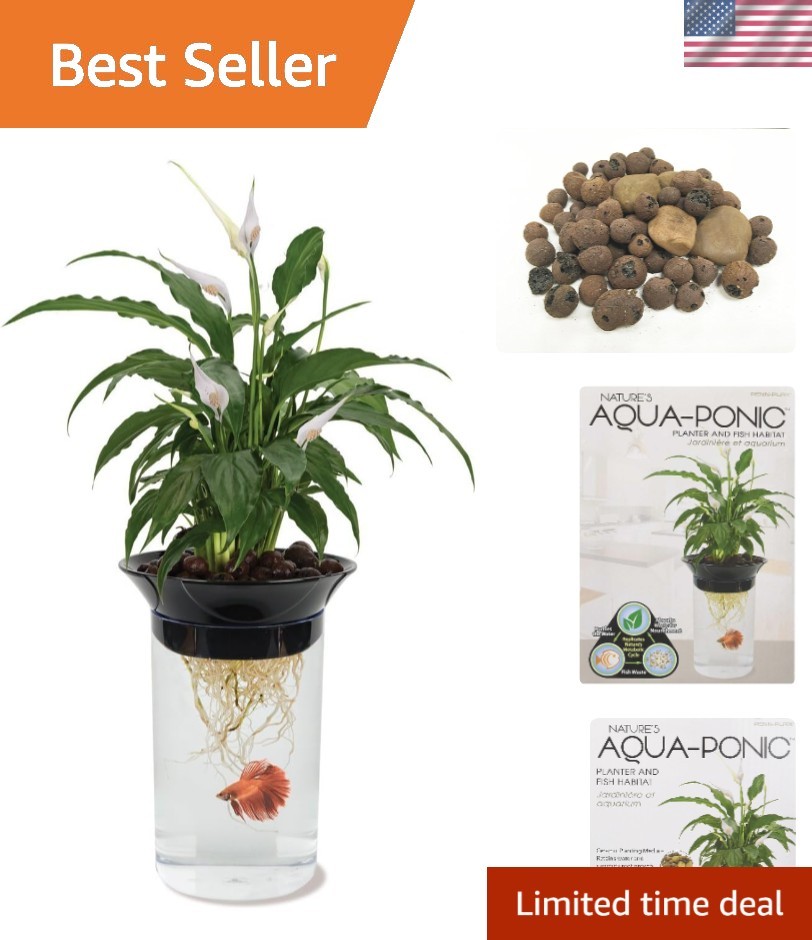 Aquaponic Planter for Betta Fish