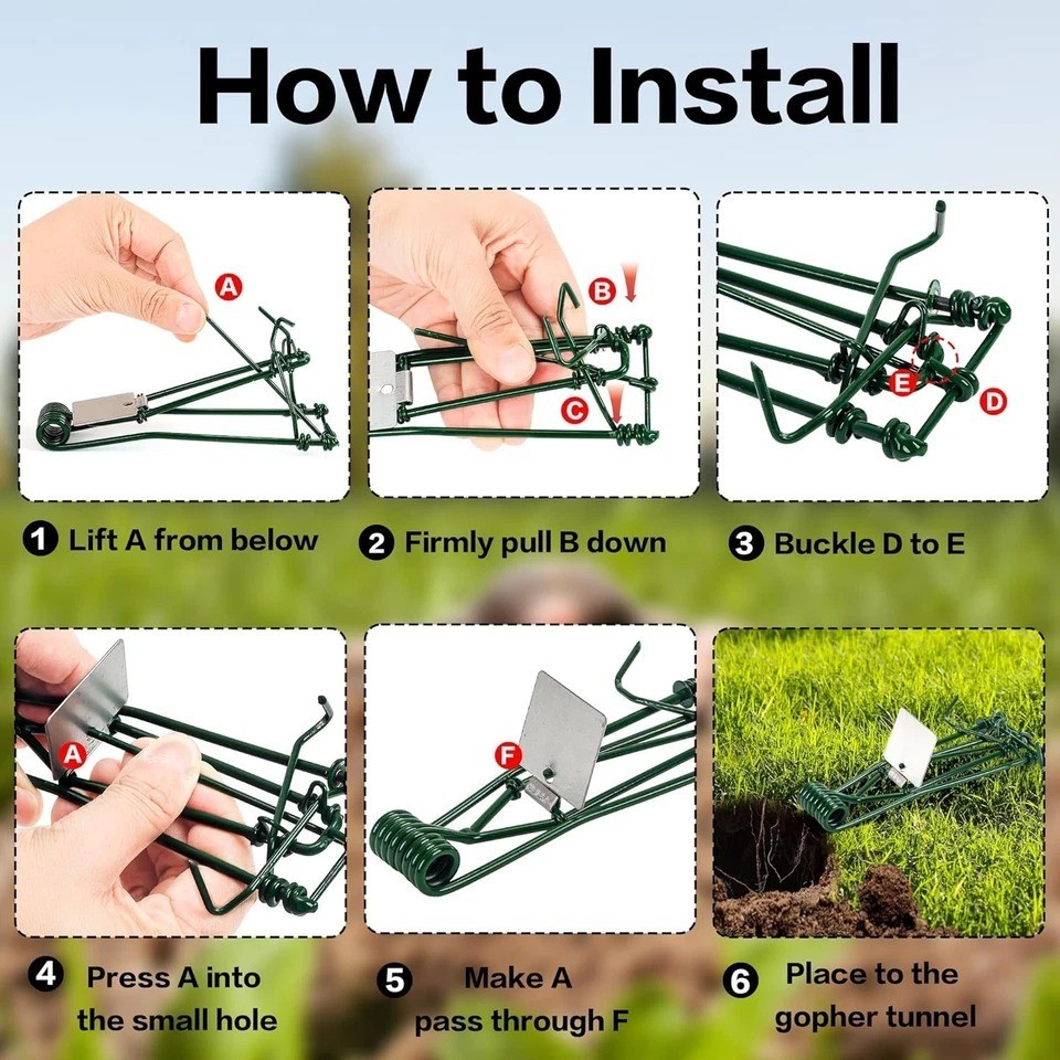 10 Pack Gopher Traps - Reusable Metal Gopher Trap, Easy Set Weather Proof Mole V