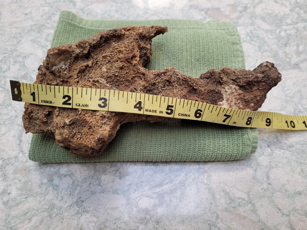 Unique Unknown rock formation (Alien Head Shape) 3lbs