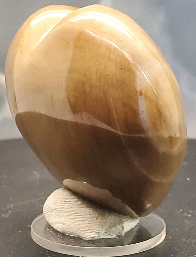 Petrified Wood Heart Carving