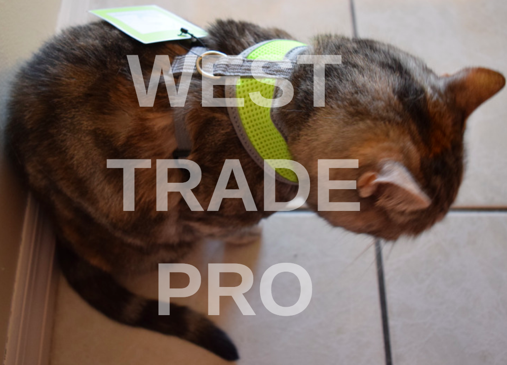 Truelove PURR Cat Harness, Safe, Adjustable Cat Vest Lightweight, Escape Proof