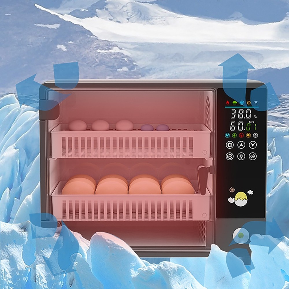 24 Eggs Incubator Fully Automatic Hydration Flipping Chicken Duck Poultry AUPLUG