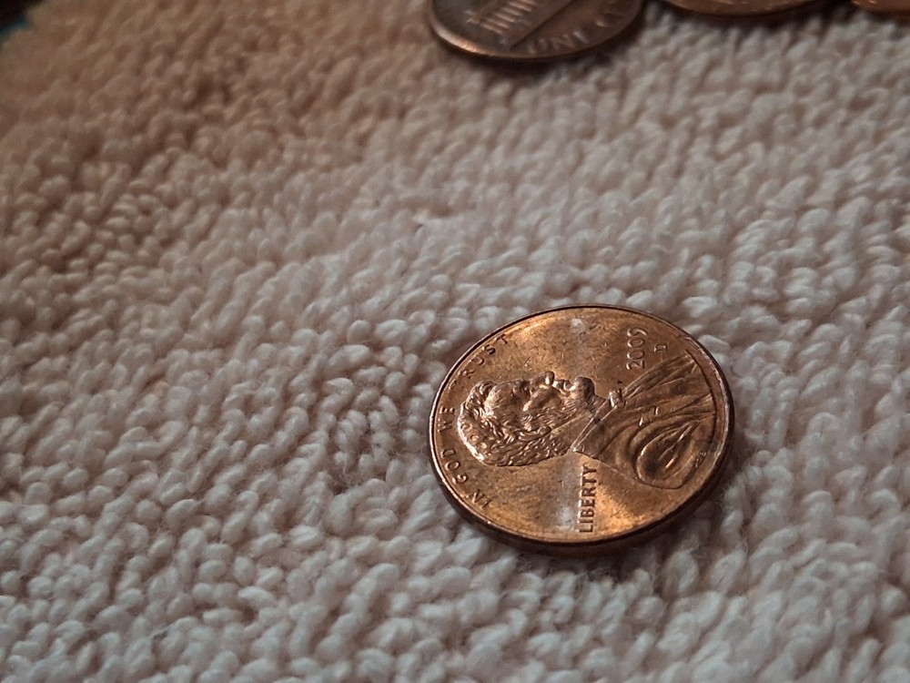Lincoln Bicentennial Formative Years Small Cent D Mint Mark 2009 Copper RD