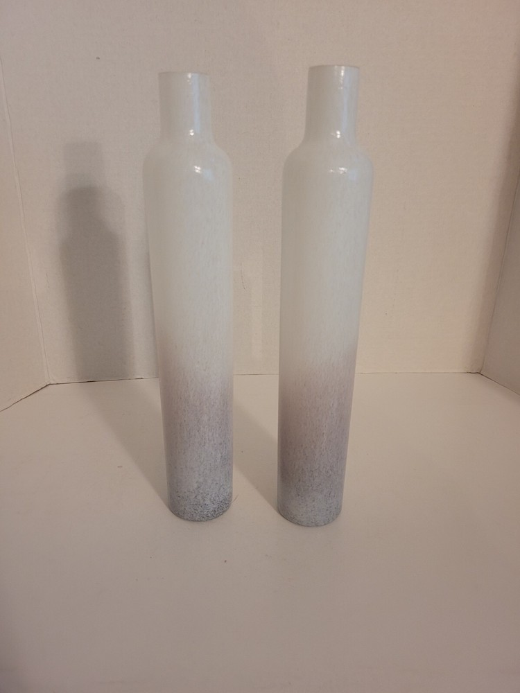 2 Shiraleah Glass Bud Vases