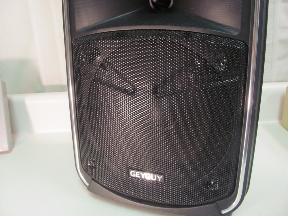 GEYGUY GTSK8-2 Bluetooth PA Karaoke Speaker Machine