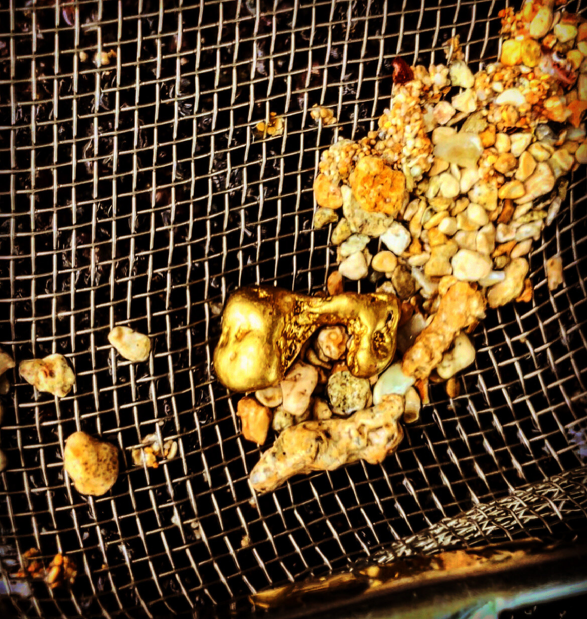 GOLD Paydirt Guaranteed Unsearched Rich with black sand + Added Gold concentrate