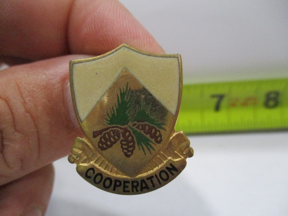 ORIGINAL VINTAGE ,GERMAN GERMANY COOPERATION ENAMELED SHIELD PIN BADGE