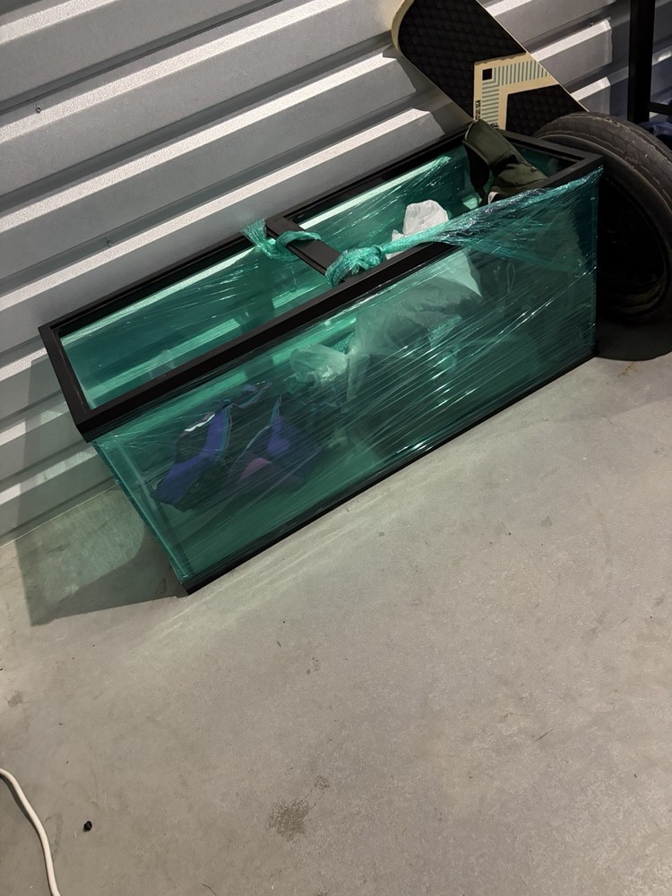 Fish Tank Aquarium