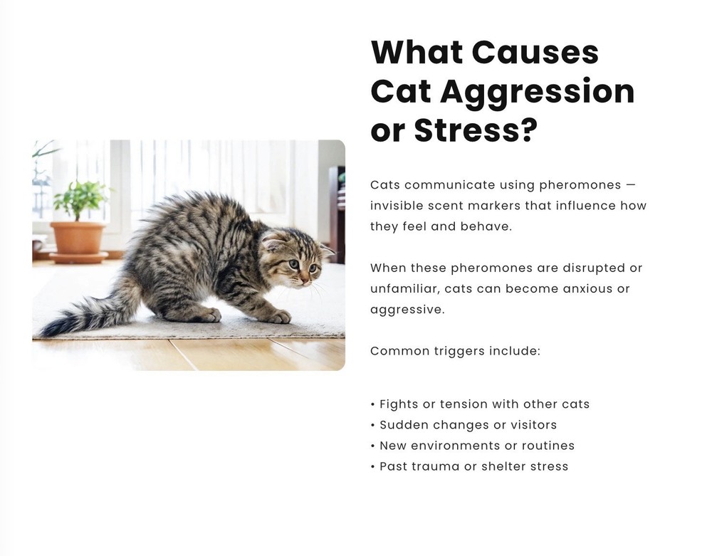 Advanced Cat Calming Diffuser Kit - Wag & Whiskers, 1-Plugin 2 Refills
