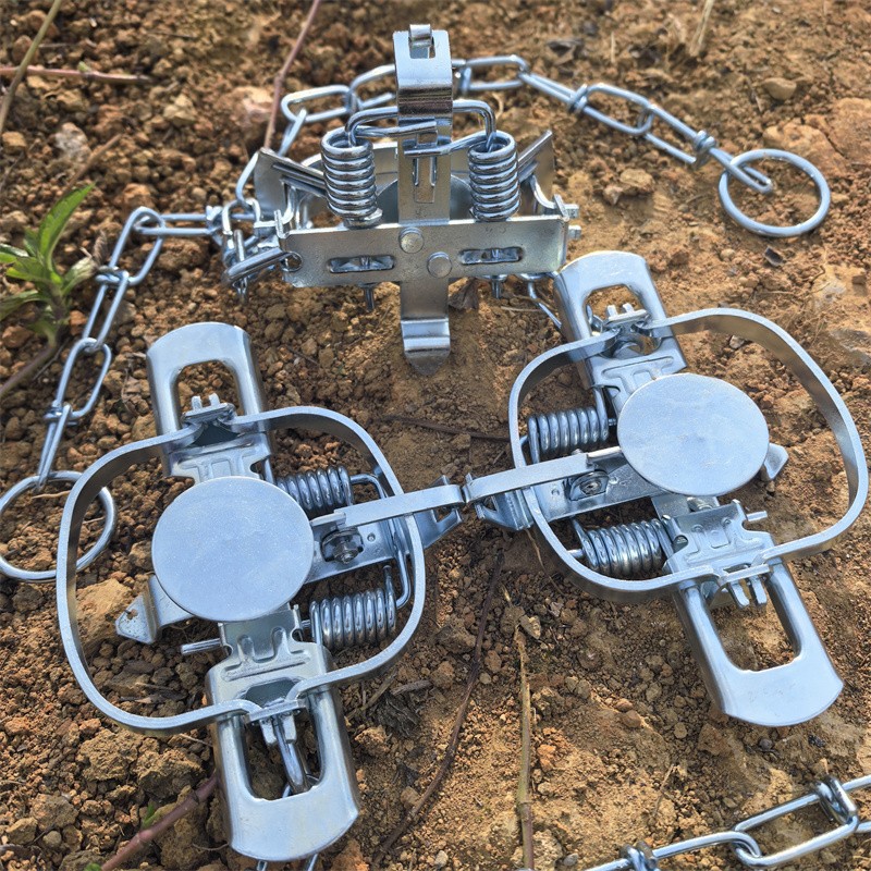 3 Packs Coil Spring Traps Raccoon Mink Muskrat Trapping Nuisance Hare Rat Nutria