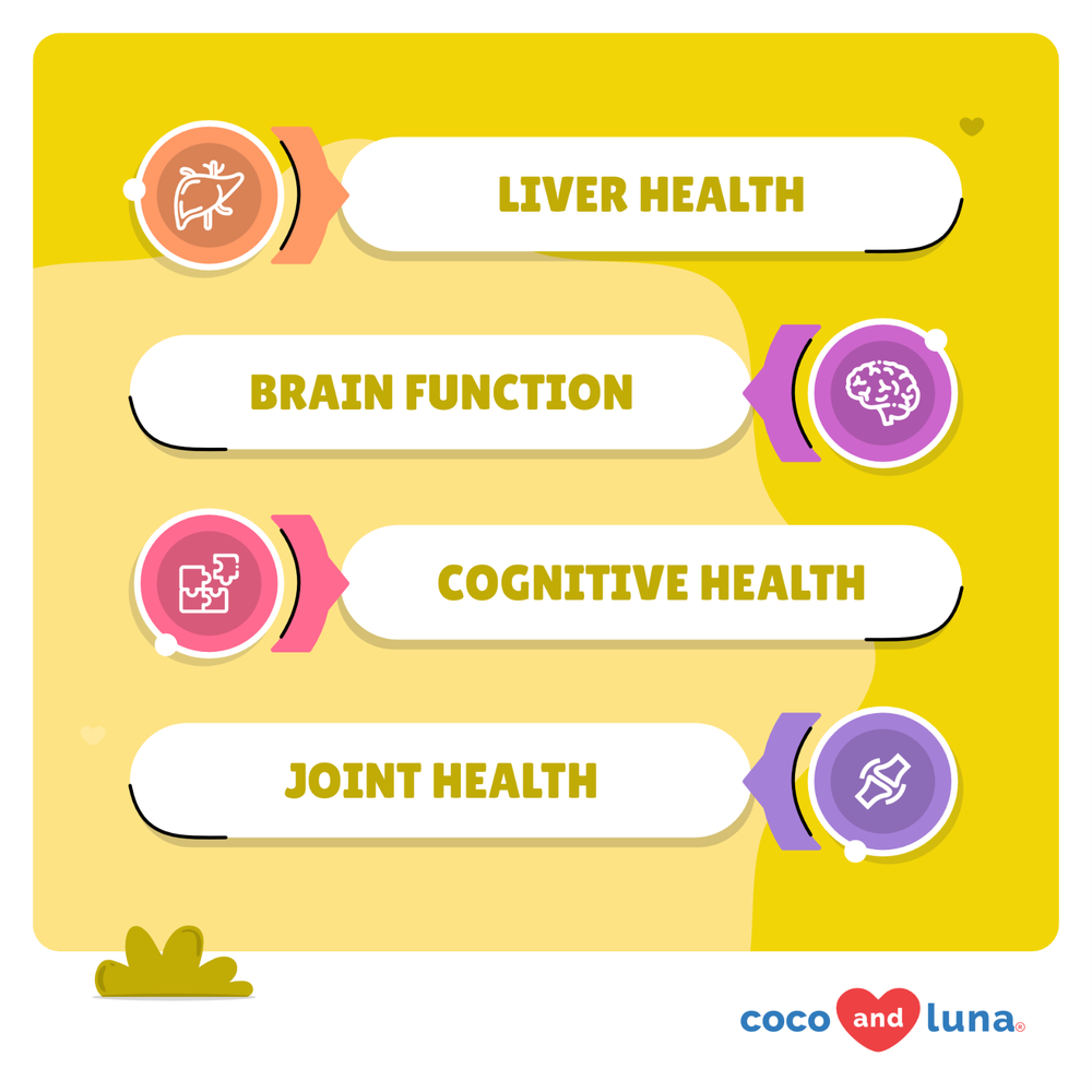 Same for Dogs - S-Adenosyl - L-Methionine, Brain Supplement And Liver Support
