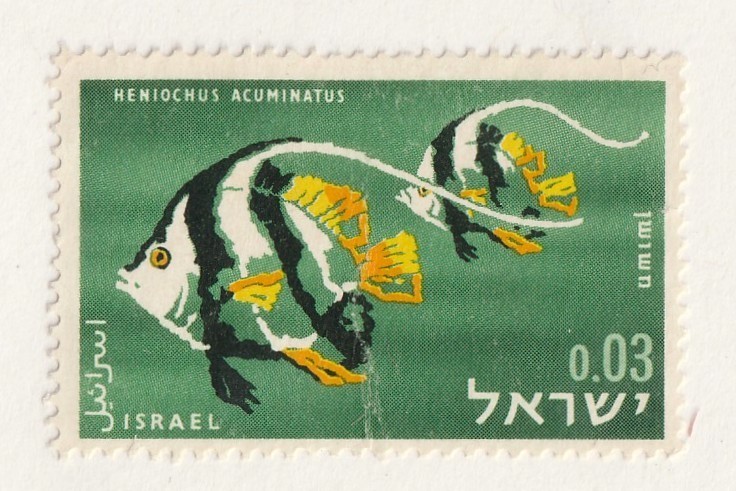 Israel           231             MNG