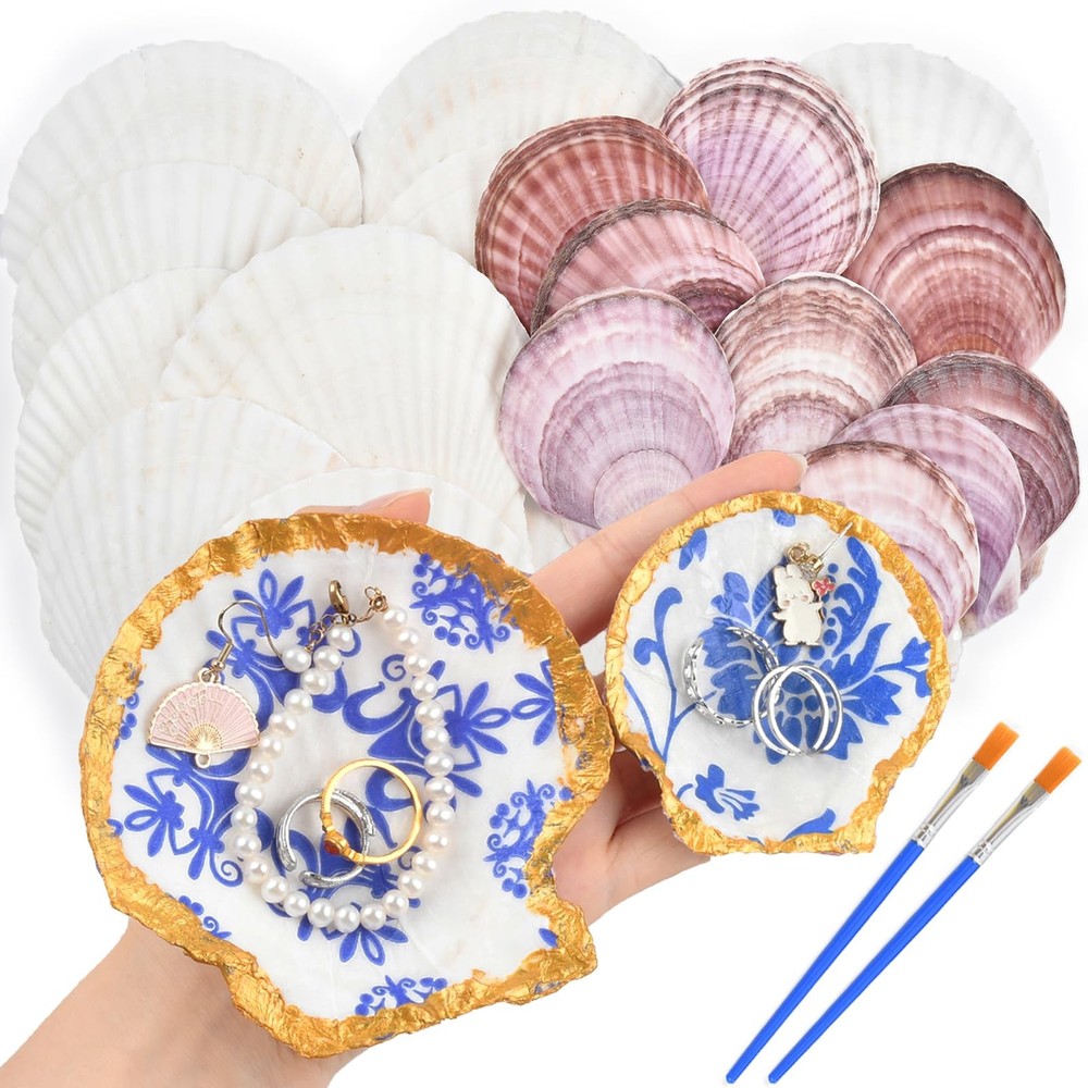 Decoupage Crafts Shells, Large Real Shells, 20PCS Clean Purple Shells with Ba...