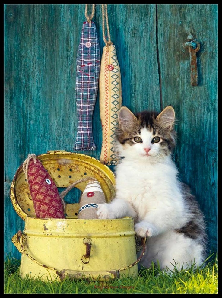 Chart Needlework DIY Crafts - Counted Cross Stitch Patterns - The Cat