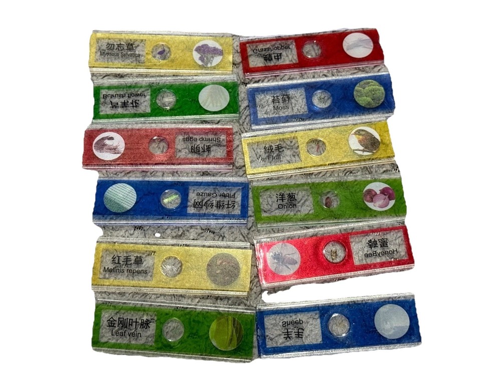 Educational 12 Piece Microscope Slides Prepared Plant Insect Specimens Biology