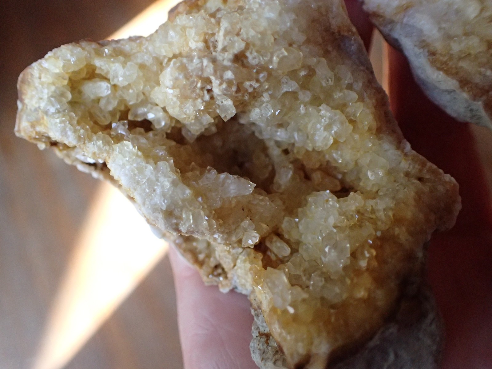 Druzy Crystal Geode Kentucky Stone Specimen Collection Paleo Gift Mountain KG14