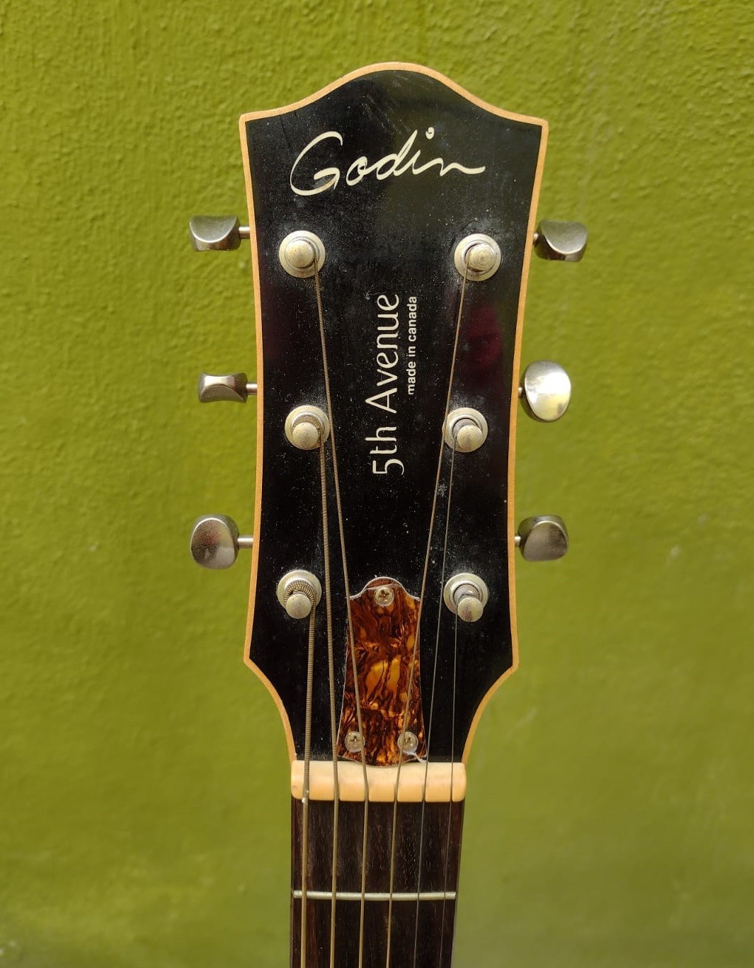 Godin 5th Avenue Kingpin Hollow body ACOUSTIC Guitar