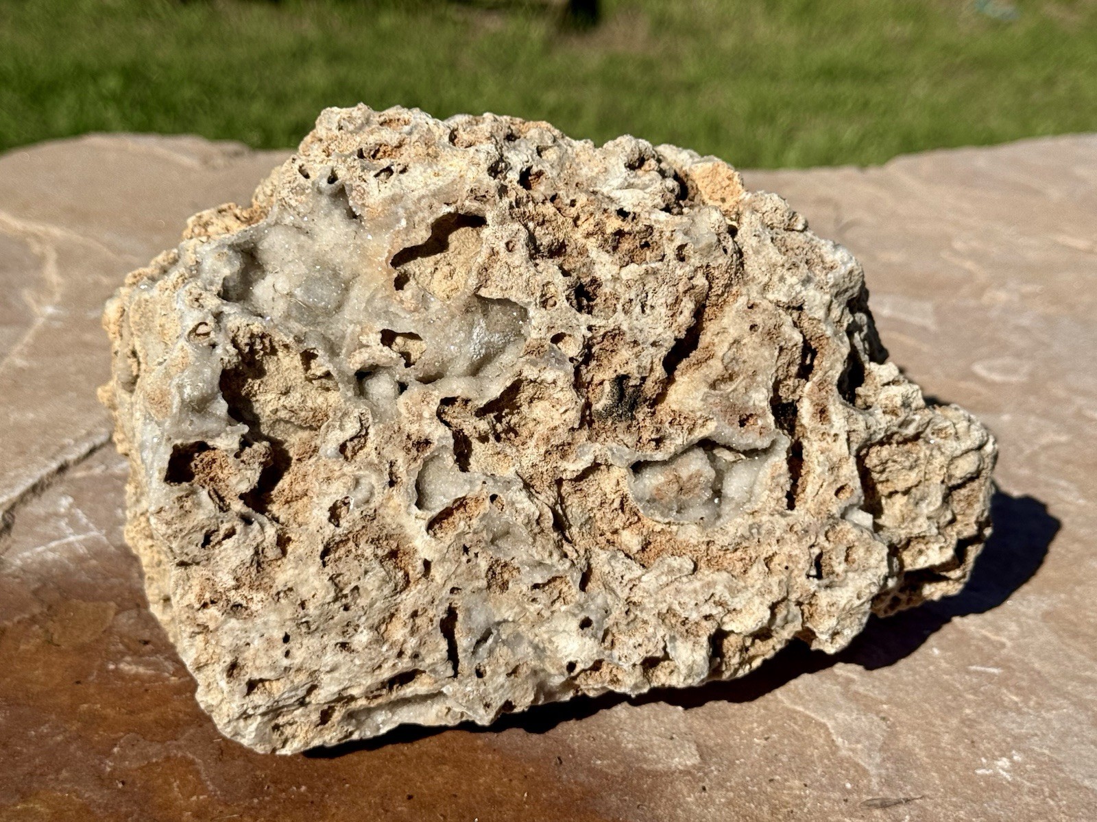 GORGEOUS* 7 Lb Crystallized Fossil Coral Reef Rock~Brilliant Druzy Sparkle