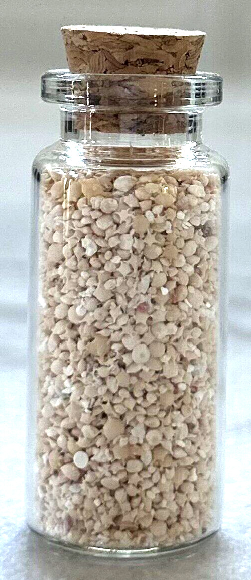 Star Sand Okinawa Ishigaki Island Star Sand 10ml Glass Bottle JAPAN *US Seller