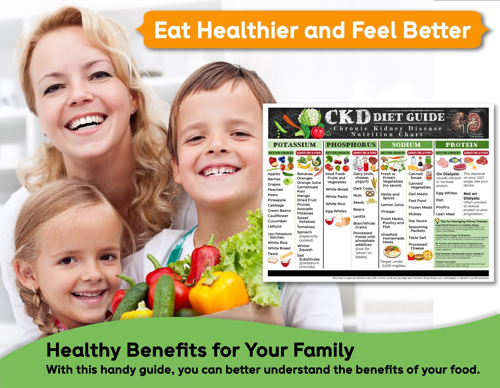 CKD Diet Guide 8.5x11 Kidney Friendly Food Chart Renal Nutrition Ref Poster Arts